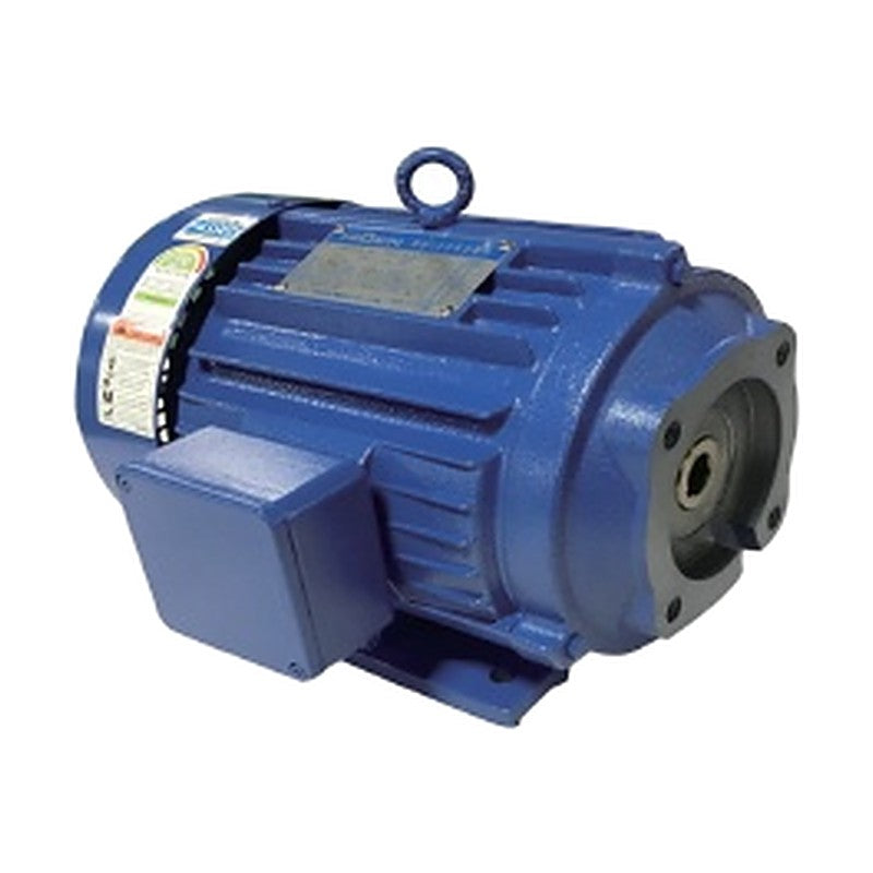 HIGEN RNM HK Series Hydraulic Unit Motors (IE1 / IE2 / IE3)