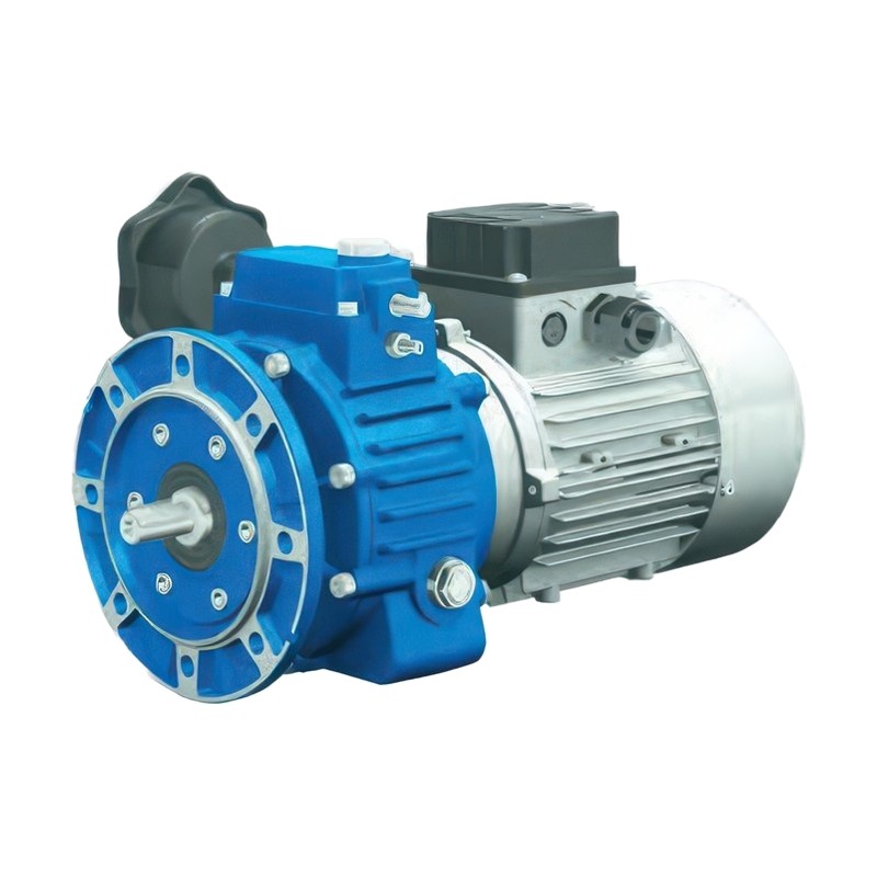 Motovario VH Motovariator-Helical Gearmotors (VH010-VH020, cast iron) - Part 2