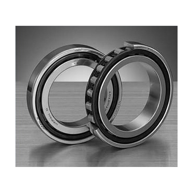 NSK N10 ROBUST High-Speed Cylindrical Roller Bearings (RS, RX, RXH)