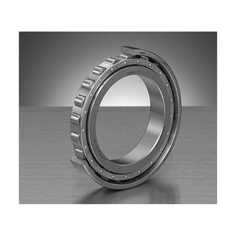 NSK N10 Single-Row Precision Cylindrical Roller Bearings (KR)