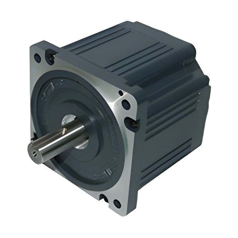 Sewoo BK / BD9S High-Output BLDC Motors (90-100 mm, 100-1000 W)