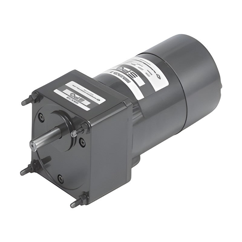 SPG SG 60 mm Electromagnetic Brake Motors (Lead Wire, 6 W)