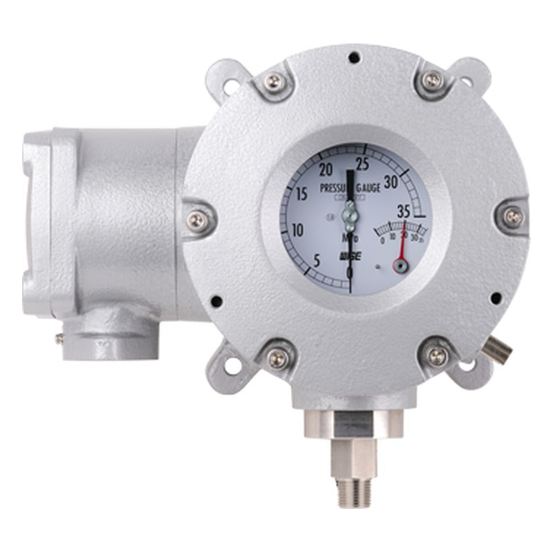 WISE P990 125 mm Indicating Explosion Proof Pressure Switch