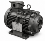 Yuken 'M' Series Electric Motor M5 (Coupling / separate housing, 5.5/7.5/11/15/18.5 kW x 4P)
