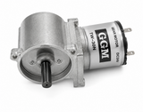 GGM KWC-3429-S2 Worm Geared Motor (DC 24V, 1/25–1/1500)