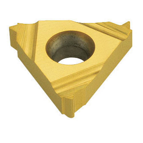 TaeguTec 5920145 Lathe Thread Insert