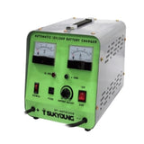 Seokyang SY-AUTO120S Battery Charger