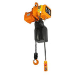Daesan DST-1S Hoist Chain Hoist (2-Point)
