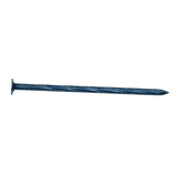 JEIL 169-3171 Turtle Foam Nail