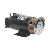 Daehwa Electric DPO30S-220 Oil Pump