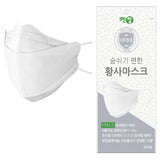 Cleantop 124 Dust and Disinfection Mask