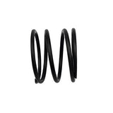 UDT UD100 Taka Parts Head Valve Spring