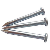 JEIL 169-6150 Turtle Hanger Nail