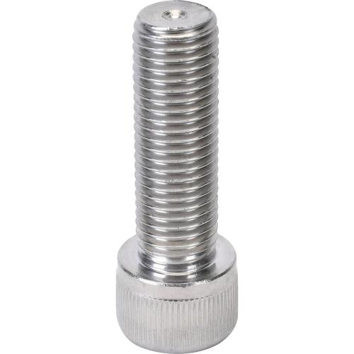 Shinjin Fastener 794-8851 Wrench Bolt (Stainless Steel)