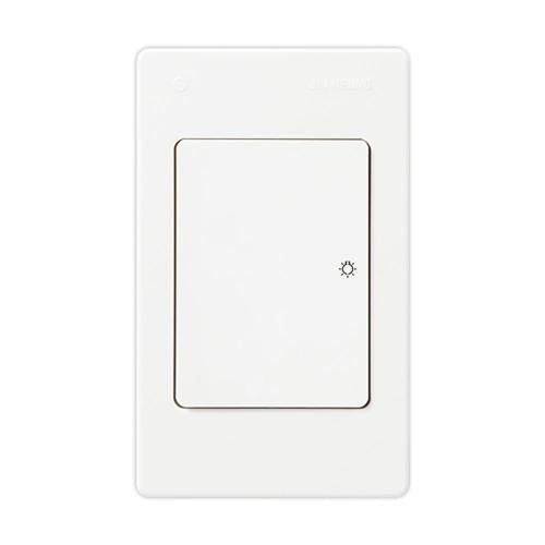 JINHUNG 784-1248 Flush-Mount Switch