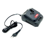 BM C202 Charger
