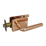 Viva 1000II GR Door Lever (Bathroom)