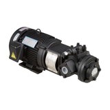Aryung AMTP-320/340 HFVB Motor T-Rotor Trochoid Pump (1.5/2.2 kW, 26-93.6 L/min)