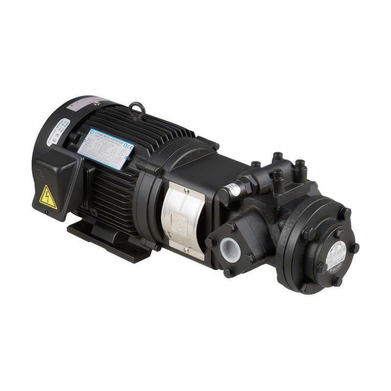 Aryung AMTP-320/340 HFVB Motor T-Rotor Trochoid Pump (1.5/2.2 kW, 26-93.6 L/min)
