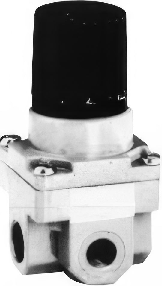 CKD Reverse Regulator with Built-in Check Valve 2419 Series (Rc1/8, Rc1/4)