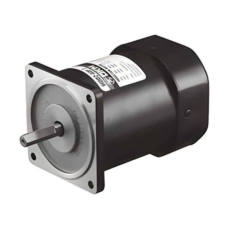 DKM 9ID-200F Induction Motor 200W, 90 mm Frame