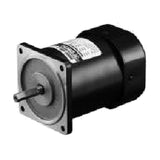 DKM 9ID-60F-A 2-Pole Induction Motor 60W, 90 mm Frame