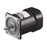 DKM 9ID-90F Induction Motor 90W, 90 mm Frame