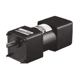 DKM 9SD Speed Control Induction Motor, 120 W, □90 mm Frame