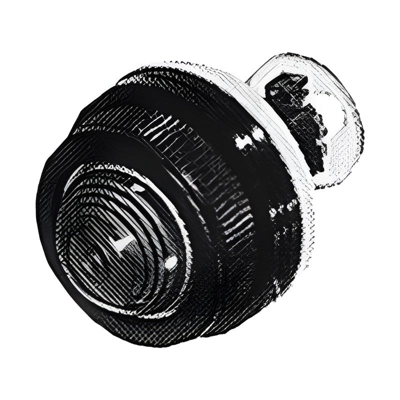 Fuji Electric DR30 Series 30 mm Pilot Lights