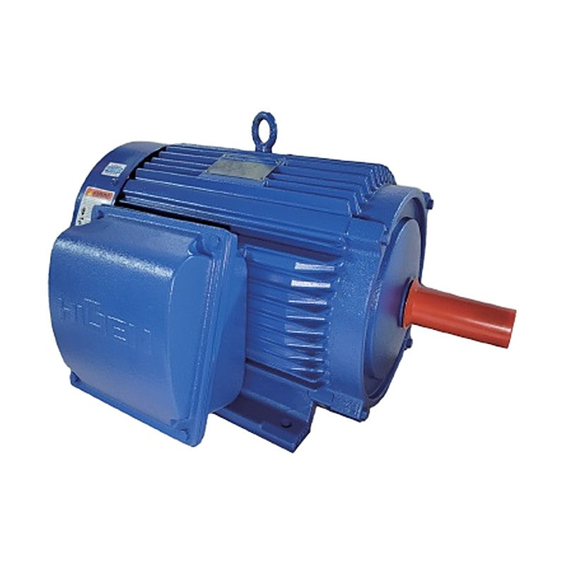 HIGEN RNM Ex d / Ex tb Flameproof Explosion-Proof Motors (71M-355L)