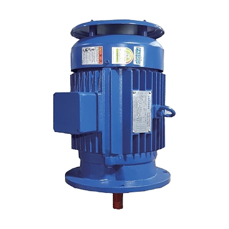 HIGEN RNM FWP Flange Water-Protection Cooling Tower Motors