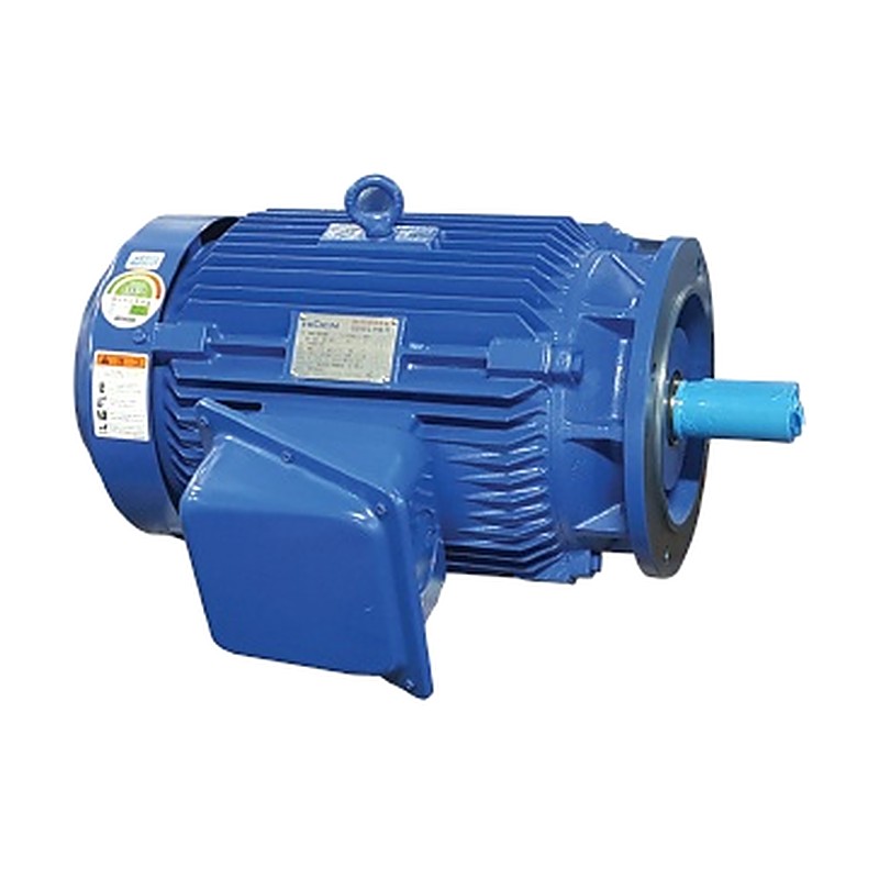 HIGEN RNM Premium Efficiency IE3 TEFC Induction Motors (Flange Mount)