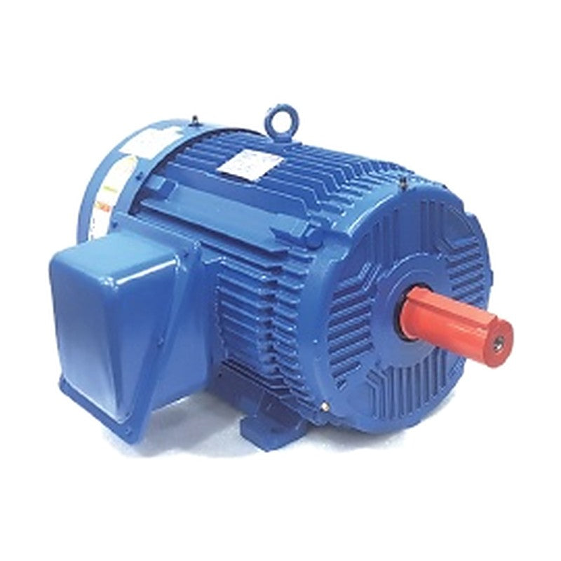 HIGEN RNM Premium Efficiency IE3 TEFC Induction Motors (Foot Mount)