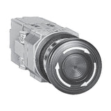 IDEC φ30 Series Illuminated Pushbuttons (Push-Lock / Push-Turn)