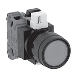 IDEC HW 22 mm Illuminated Pushbuttons (Round Flush, Marking)