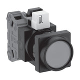 IDEC HW 22 mm Illuminated Pushbuttons (Square-Bezel Flush, Marking)