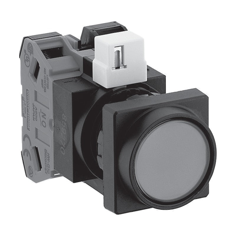 IDEC HW 22 mm Illuminated Pushbuttons (Square-Bezel Flush, Marking)