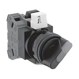 IDEC HW Series 22 mm Illuminated Selector Switches (LED)