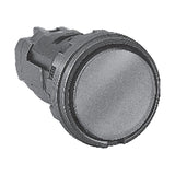 IDEC HW Series 22 mm Pilot Lights (LED / Incandescent)