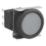IDEC LBW Series Flush Bezel Illuminated Pushbuttons (LED)