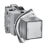 IDEC TWS Series 25 mm Illuminated Pushbuttons (Square Flush, Marking)
