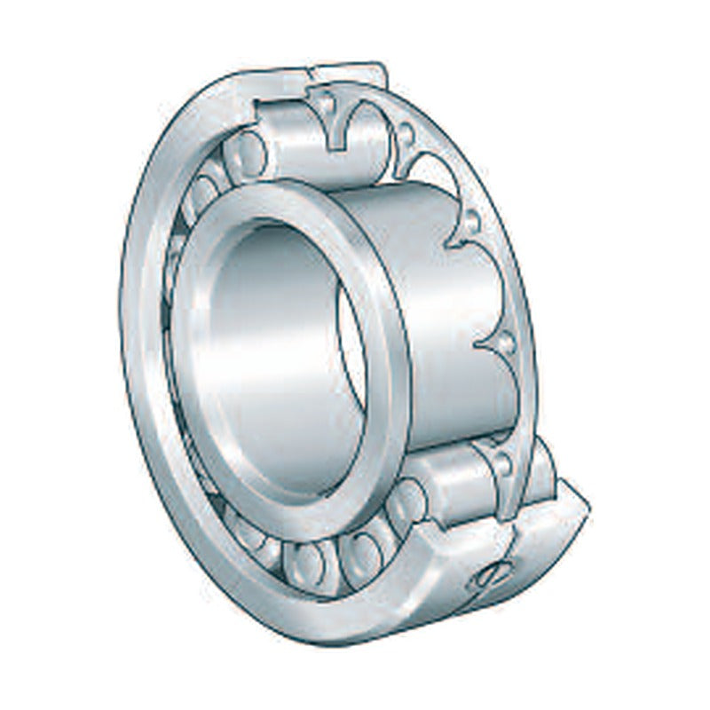 INA LSL1923 Cylindrical Roller Bearings (Disc Cage)