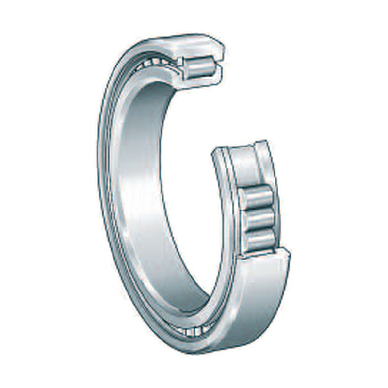 INA SL1829 Full Complement Cylindrical Roller Bearings (Single Row)