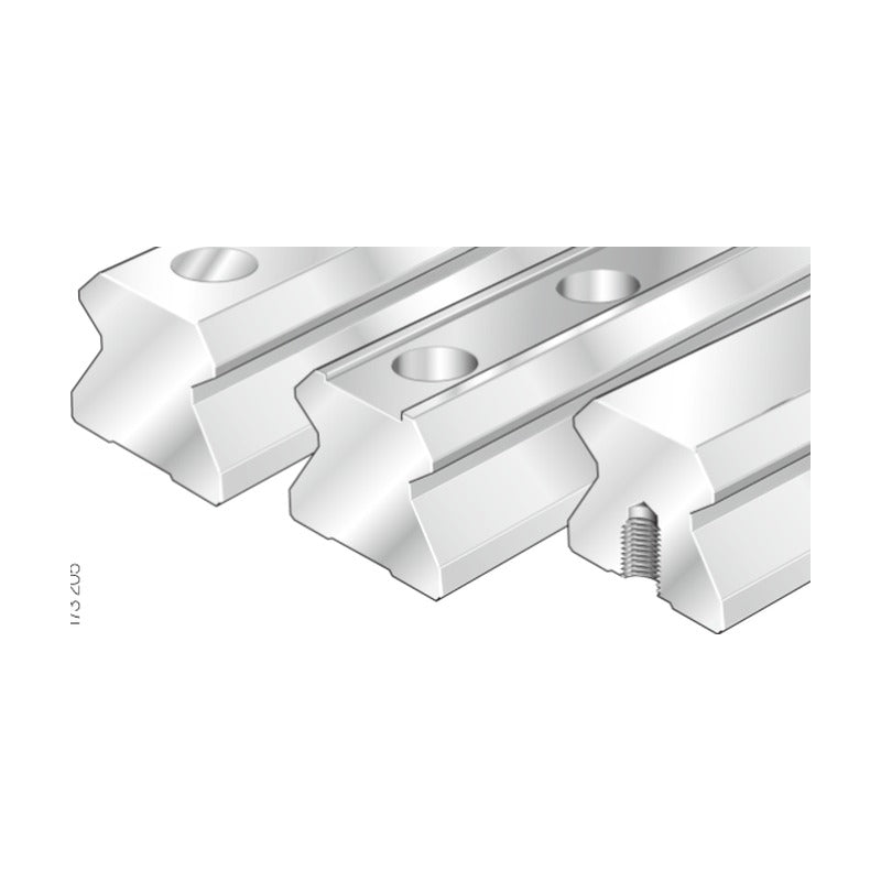INA TSX Guideways for RUE Roller Monorail Assemblies