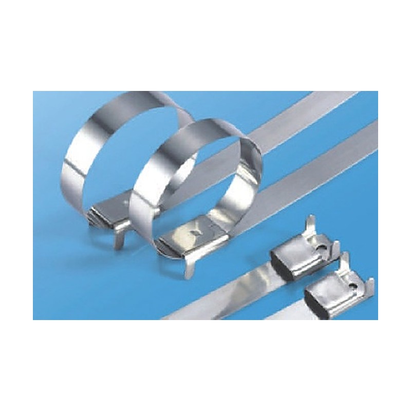 Jeoneo JBZ Stainless Steel Wing-Buckle Cable Ties