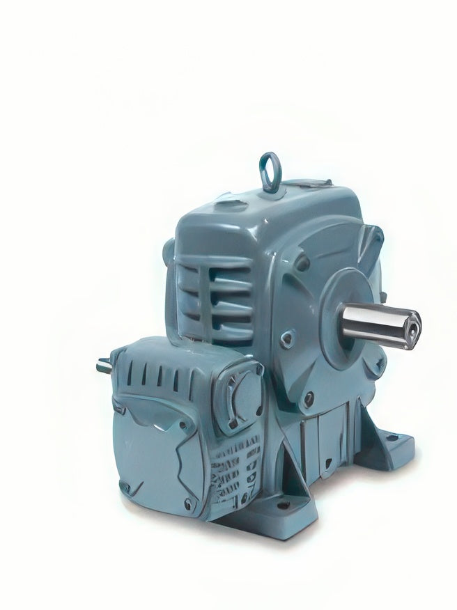 KGM KGW DWB / DWV Double Worm Gear Reducer (Sizes 60-300)