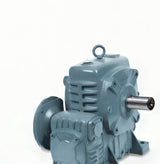 KGM KGW DWBM / DWVM Double Worm Reducer with Motor Flange (Sizes 70-225)