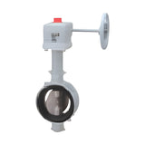 KITZ 10K Ductile Iron DJK Series Butterfly Valve (G-10DJKUE)