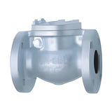 KITZ 10K Cast Iron Swing Check Valve (10FCO Series)