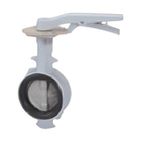 KITZ 10K Ductile Iron FJ Series Butterfly Valve (10FJUF, G-10FJUF)